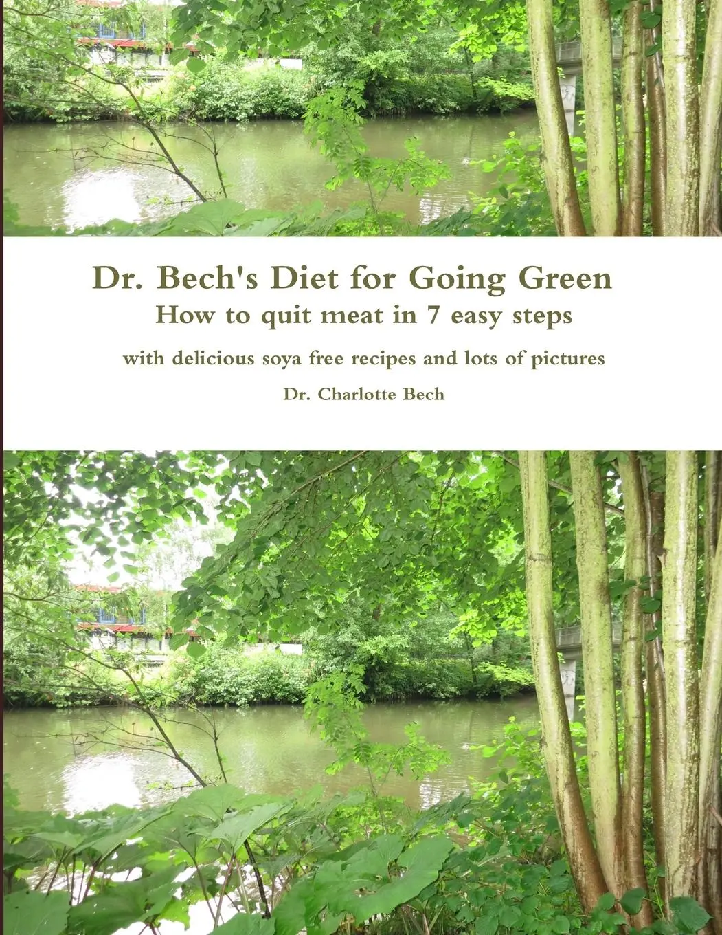 Cover: 9788799312610 | Dr. Bech's Diet for Going Green | Charlotte Bech | Taschenbuch | 2017