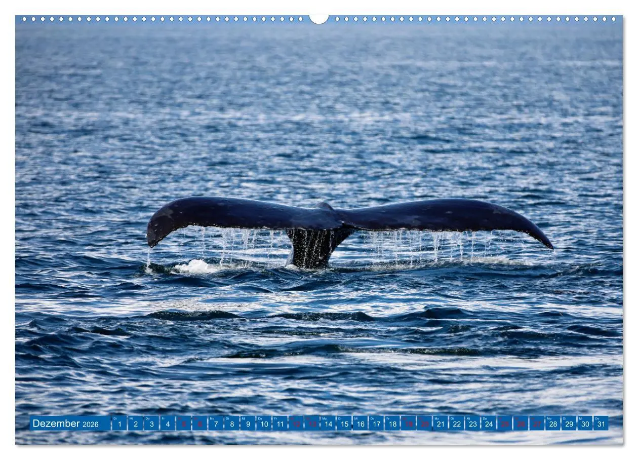 Bild: 9783457322710 | Von Vancouver nach Alaska (hochwertiger Premium Wandkalender 2026...