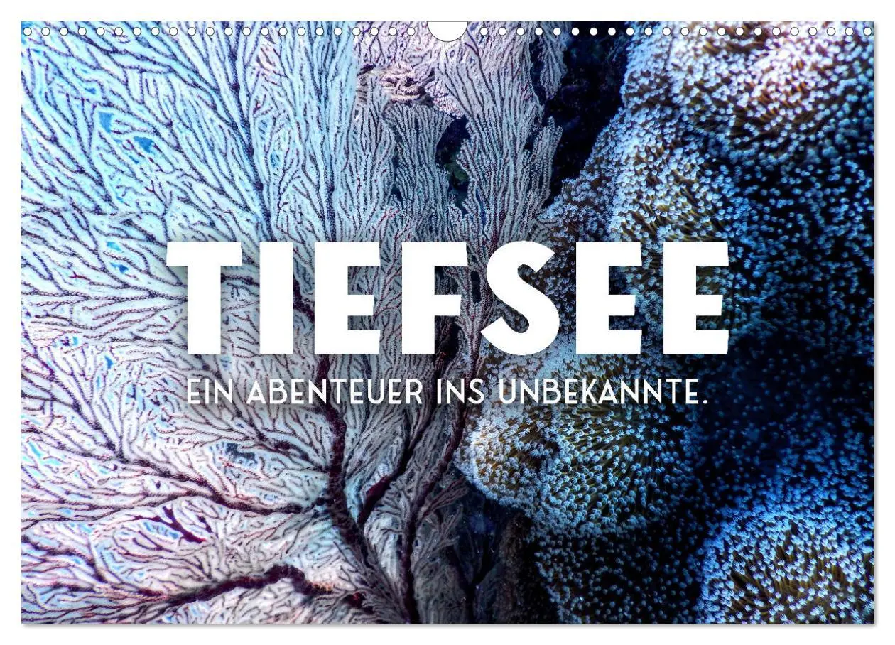 Cover: 9783457562710 | Tiefsee - Ein Abenteuer ins Unbekannte. (Wandkalender 2026 DIN A3...
