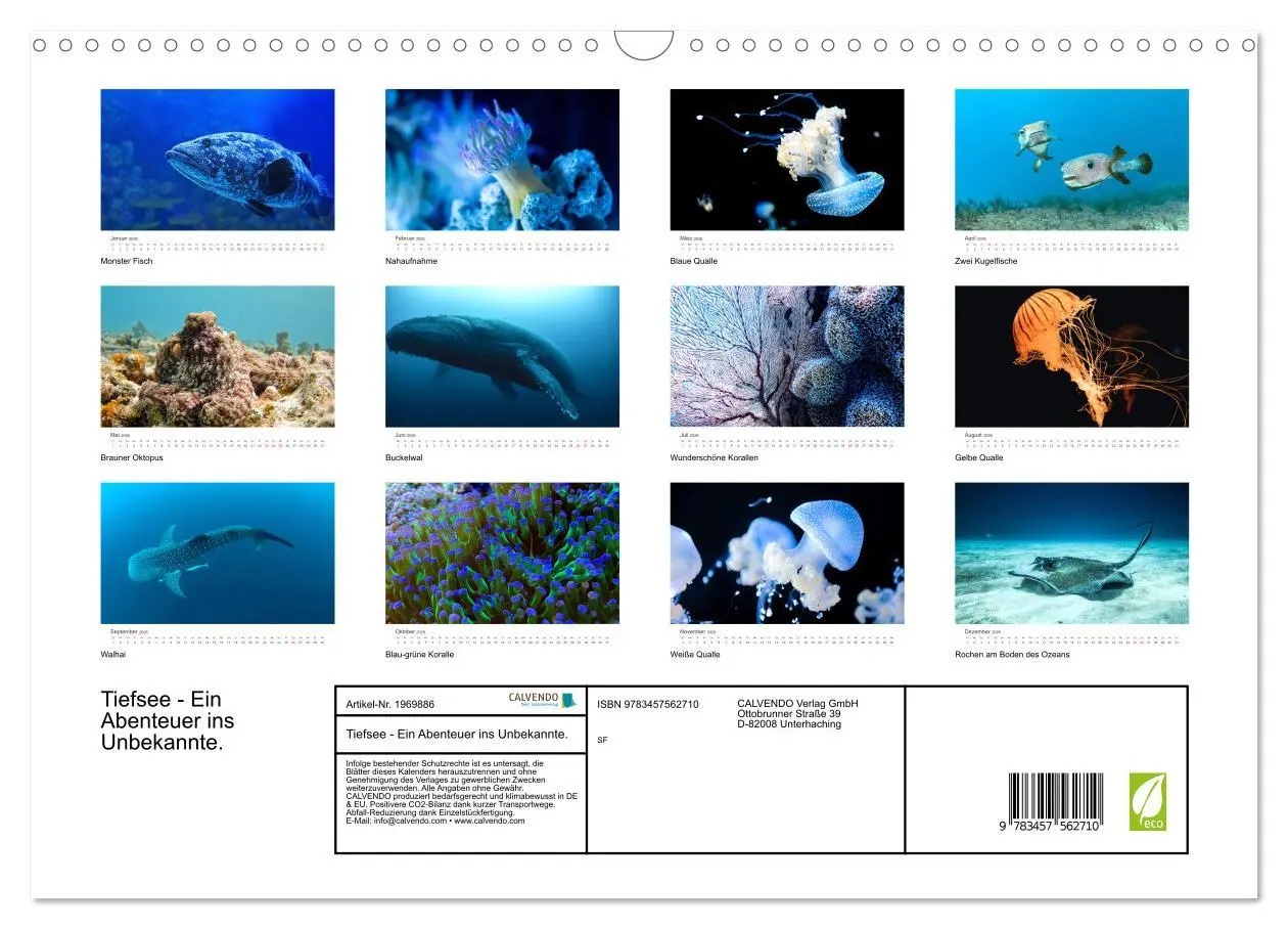 Bild: 9783457562710 | Tiefsee - Ein Abenteuer ins Unbekannte. (Wandkalender 2026 DIN A3...