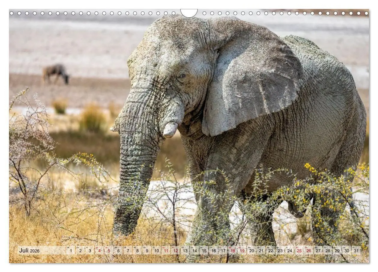 Bild: 9783516722710 | Namibia - Simbabwe - Botswana Leben zwischen Wüste und Wildnis...