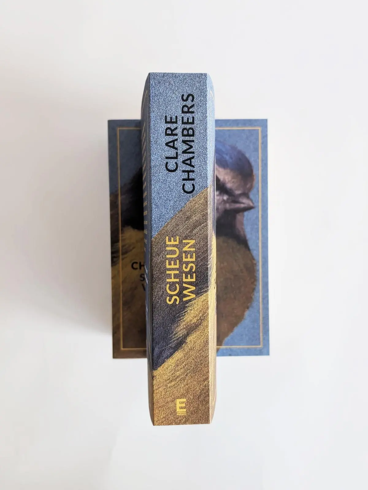 Bild: 9783961612710 | Scheue Wesen | Clare Chambers | Taschenbuch | 512 S. | Deutsch | 2025