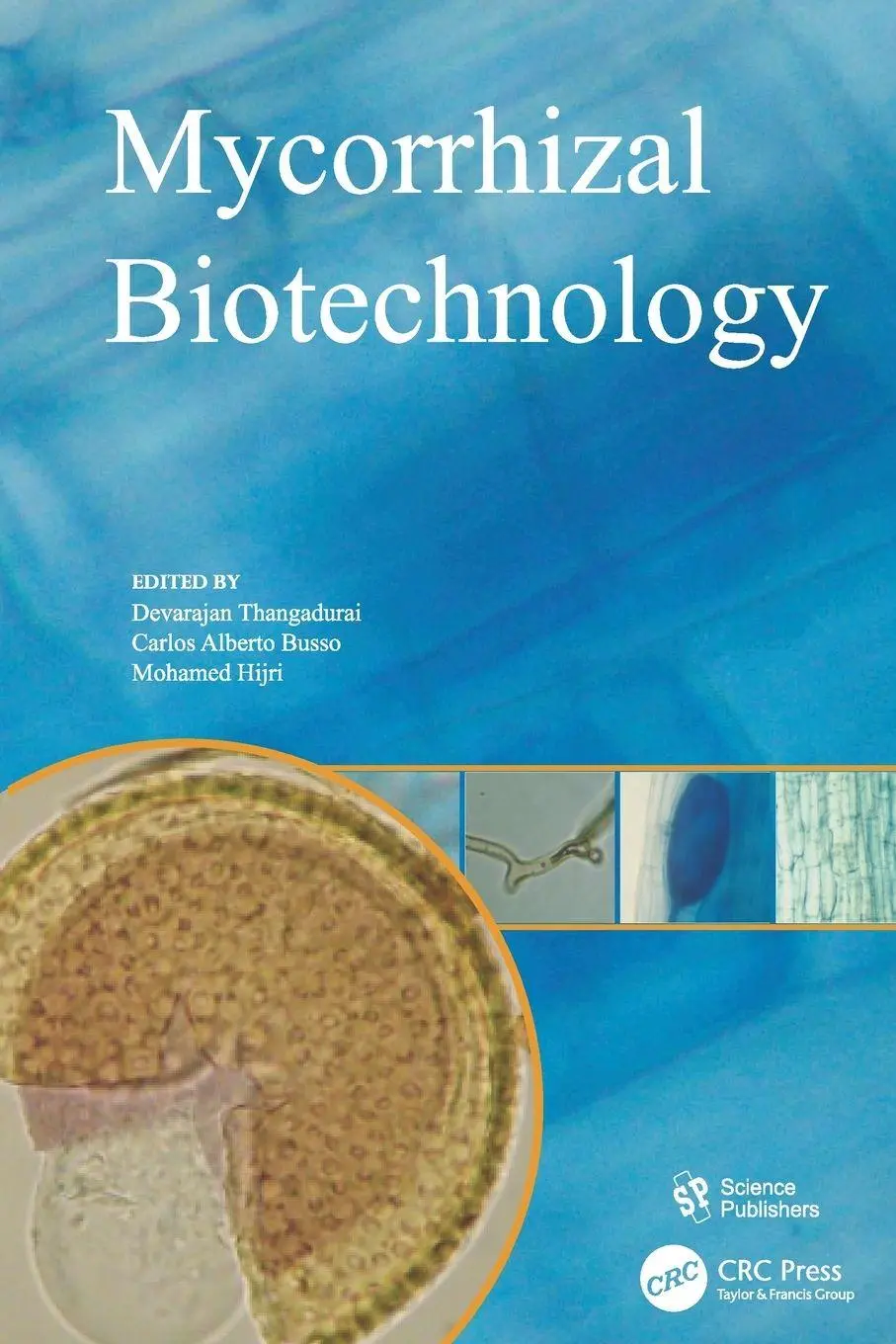 Cover: 9781138112810 | Mycorrhizal Biotechnology | Devarajan Thangadurai (u. a.) | Buch