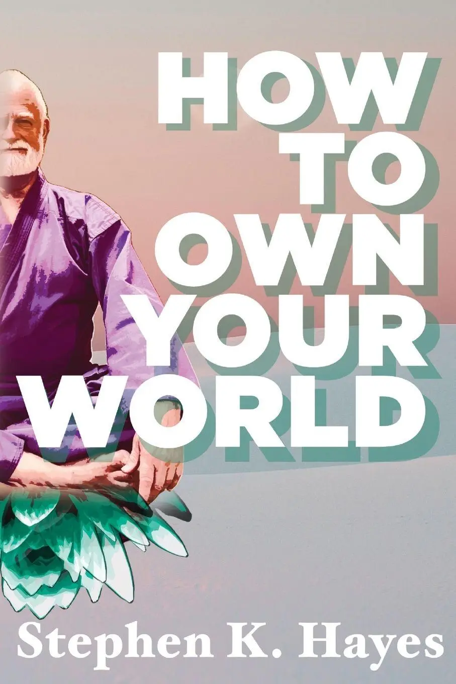 Cover: 9781955342810 | How To Own Your World | Stephen K. Hayes | Taschenbuch | Englisch