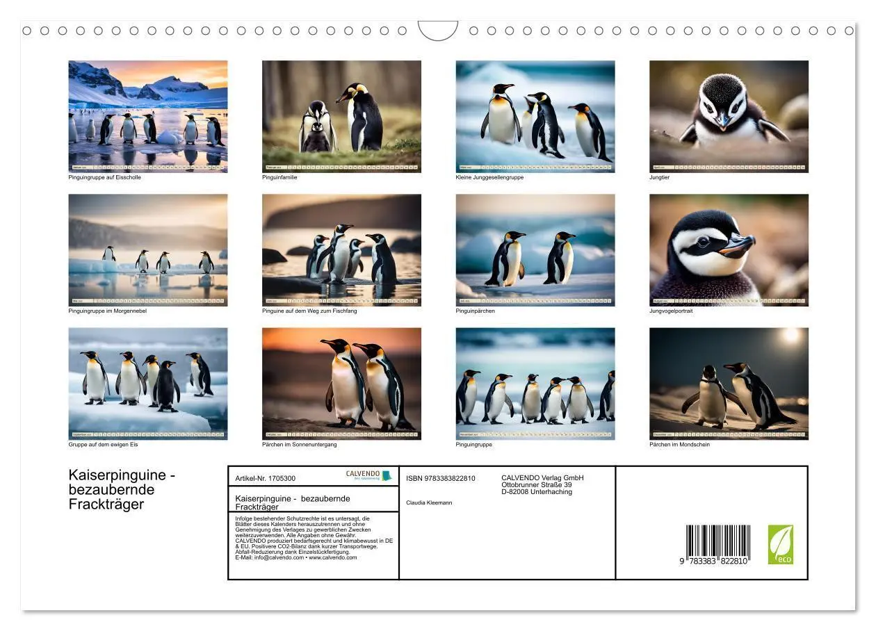Bild: 9783383822810 | Kaiserpinguine - bezaubernde Frackträger (Wandkalender 2025 DIN A3...