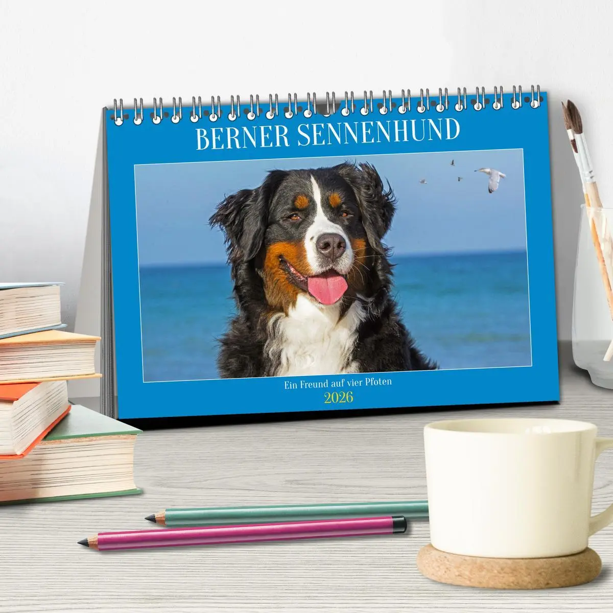 Bild: 9783457482810 | Berner Sennenhund - Ein Freund auf vier Pfoten (Tischkalender 2026...