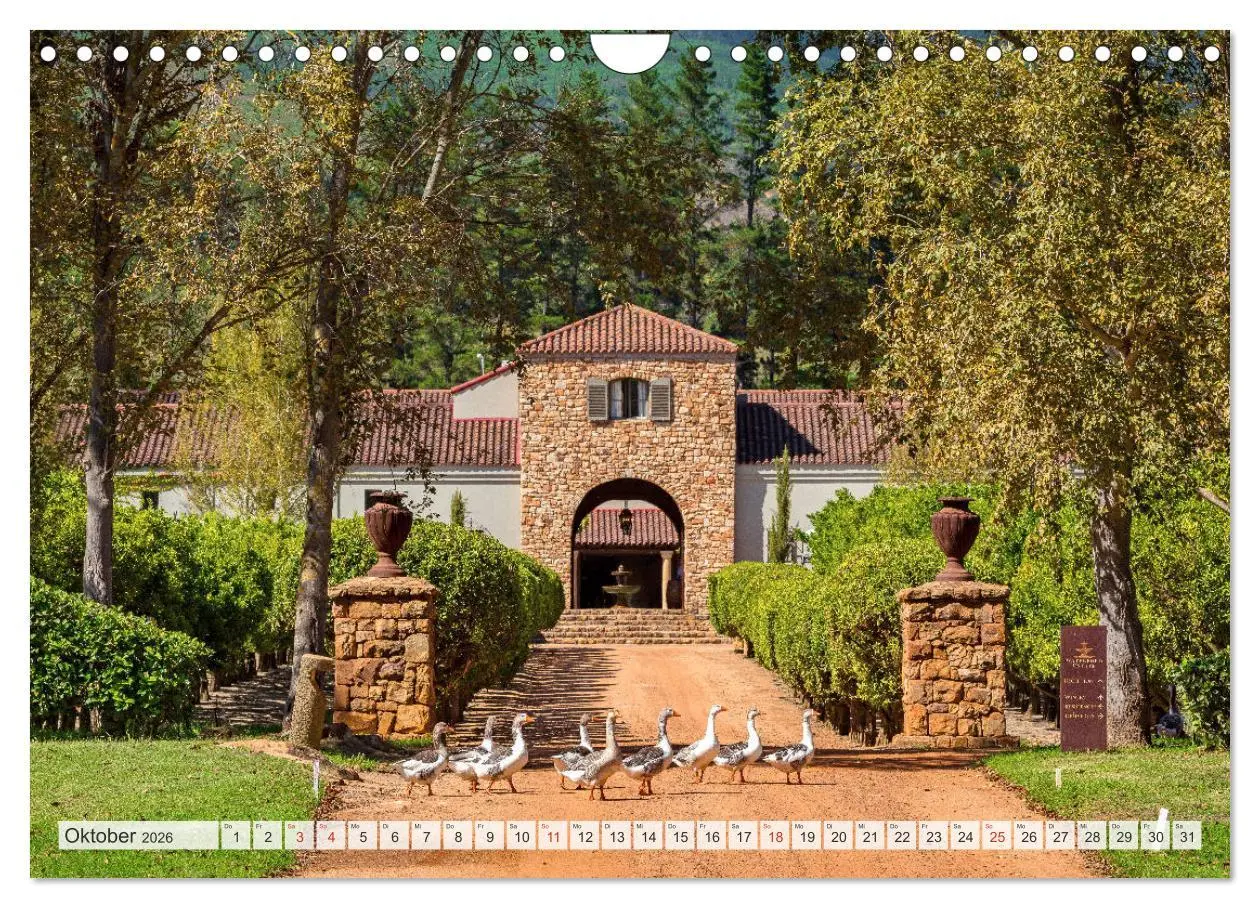 Bild: 9783457792810 | Weingüter Südafrikas, Weinarchitektur zwischen Tradition und...