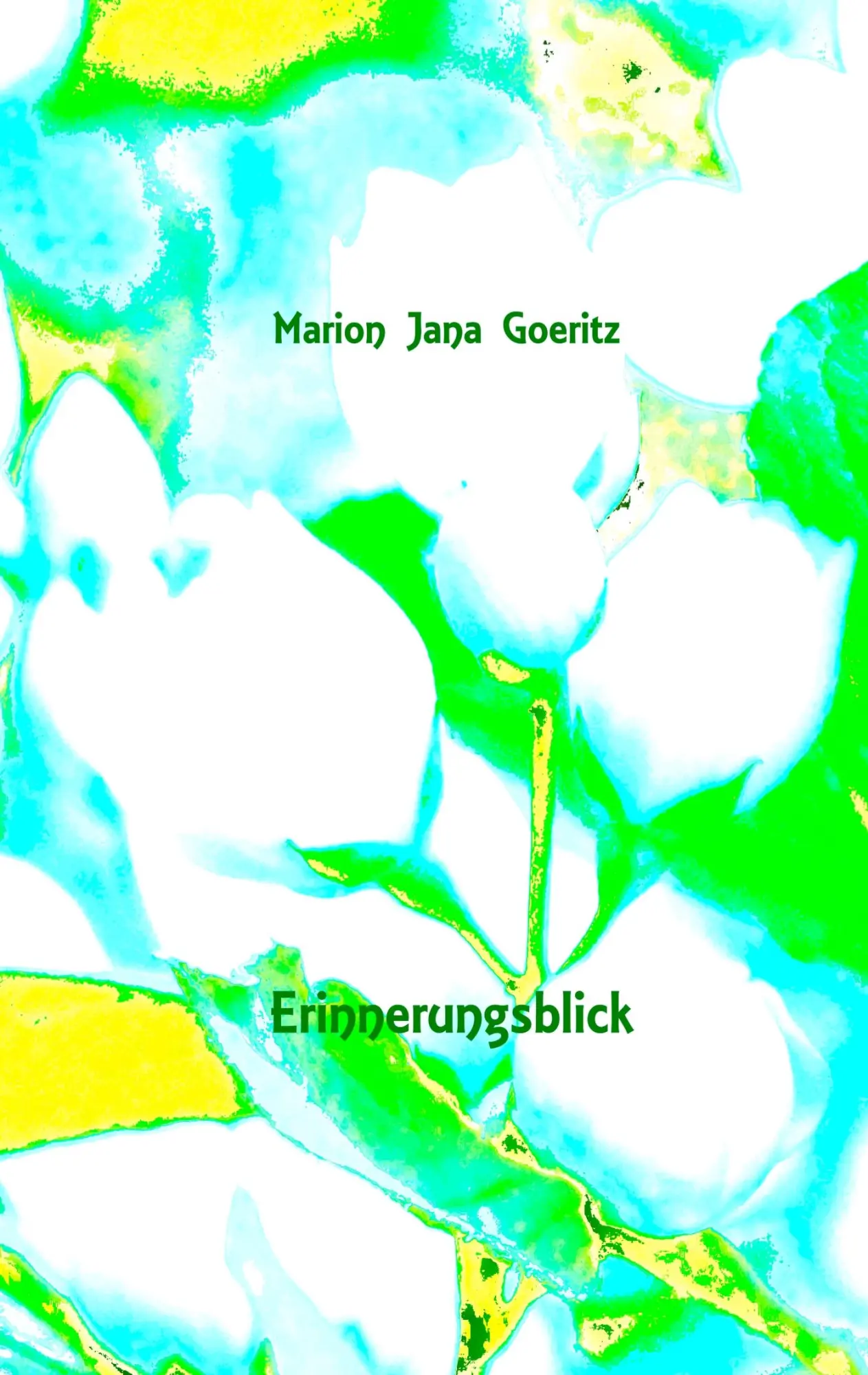 Cover: 9783746012810 | Erinnerungsblick | Marion Jana Goeritz | Taschenbuch | 120 S. | 2017