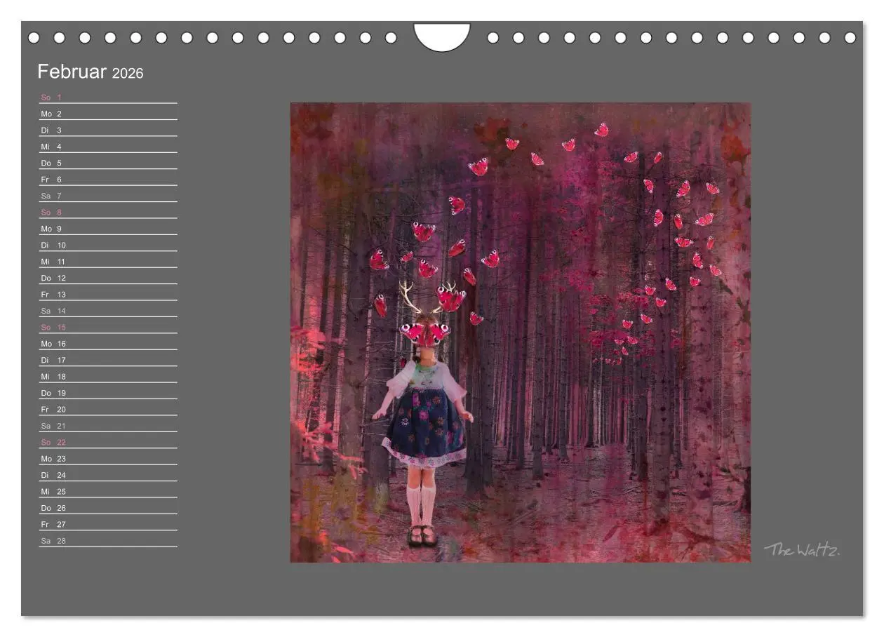 Bild: 9783516012910 | Schwarzwald. Anders. (Wandkalender 2026 DIN A4 quer), CALVENDO...