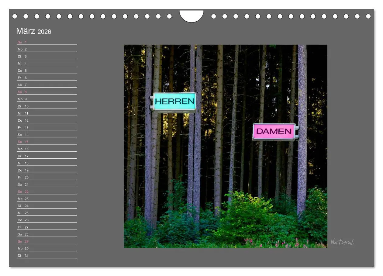Bild: 9783516012910 | Schwarzwald. Anders. (Wandkalender 2026 DIN A4 quer), CALVENDO...