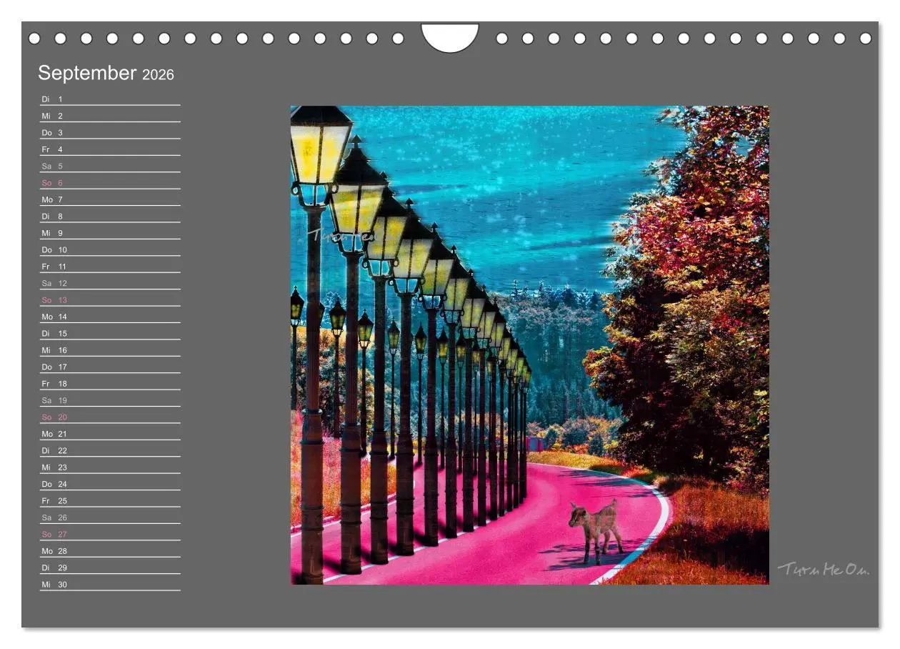Bild: 9783516012910 | Schwarzwald. Anders. (Wandkalender 2026 DIN A4 quer), CALVENDO...