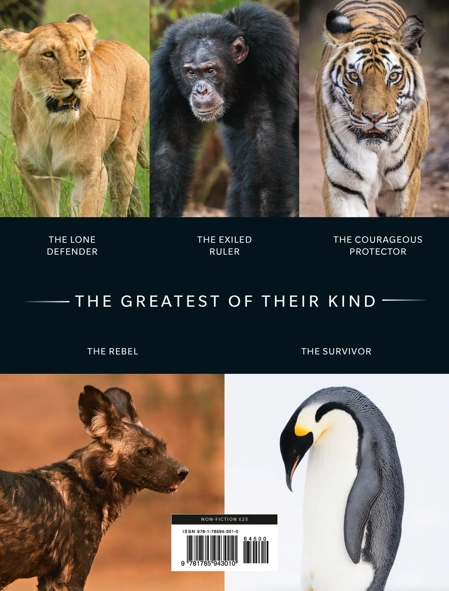 Rückseite: 9781785943010 | Dynasties: The Rise and Fall of Animal Families | Stephen Moss | Buch