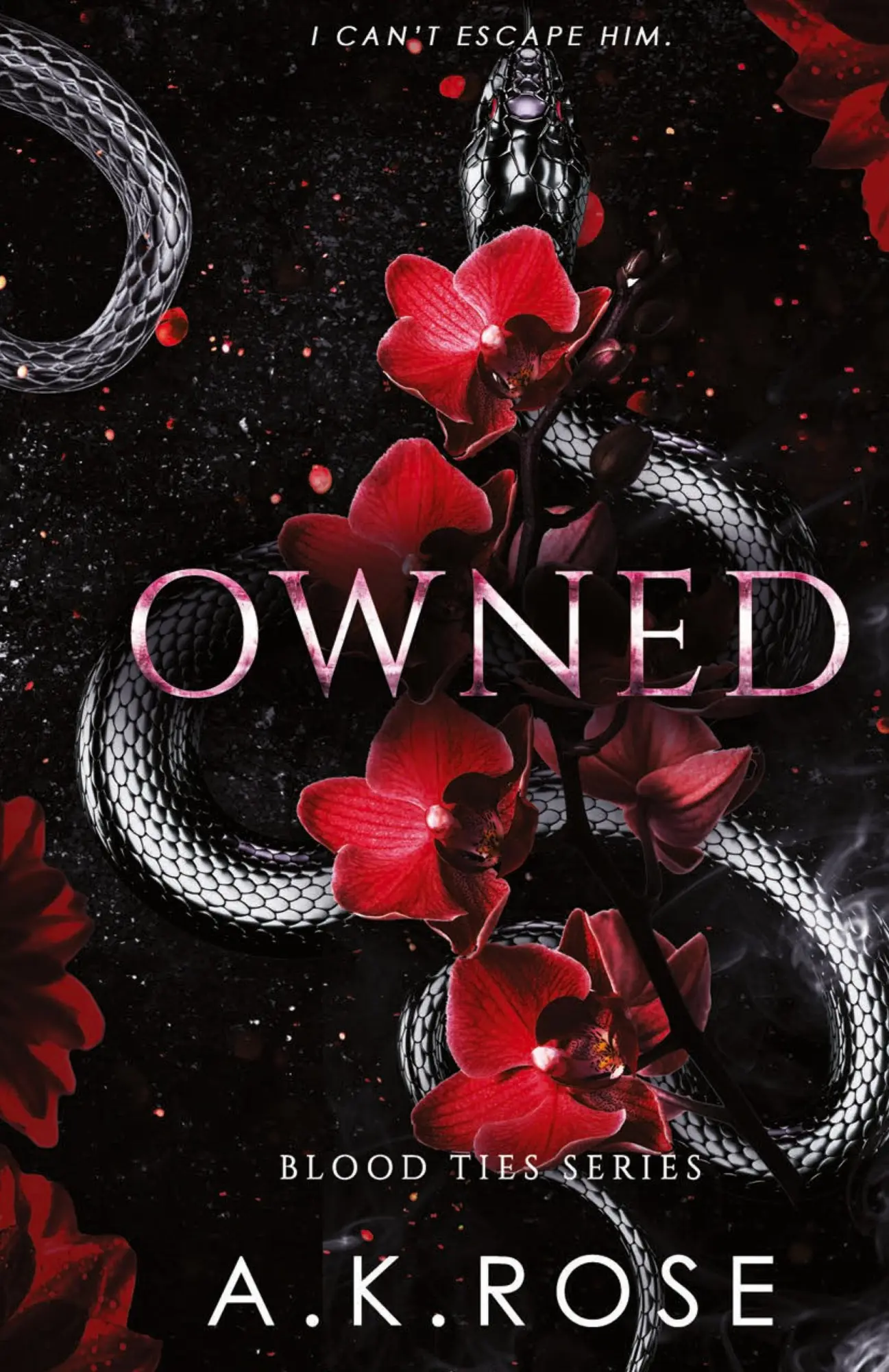 Cover: 9781922933010 | Owned | A. K Rose (u. a.) | Buch | Englisch | 2022 | Author Kim Faulks