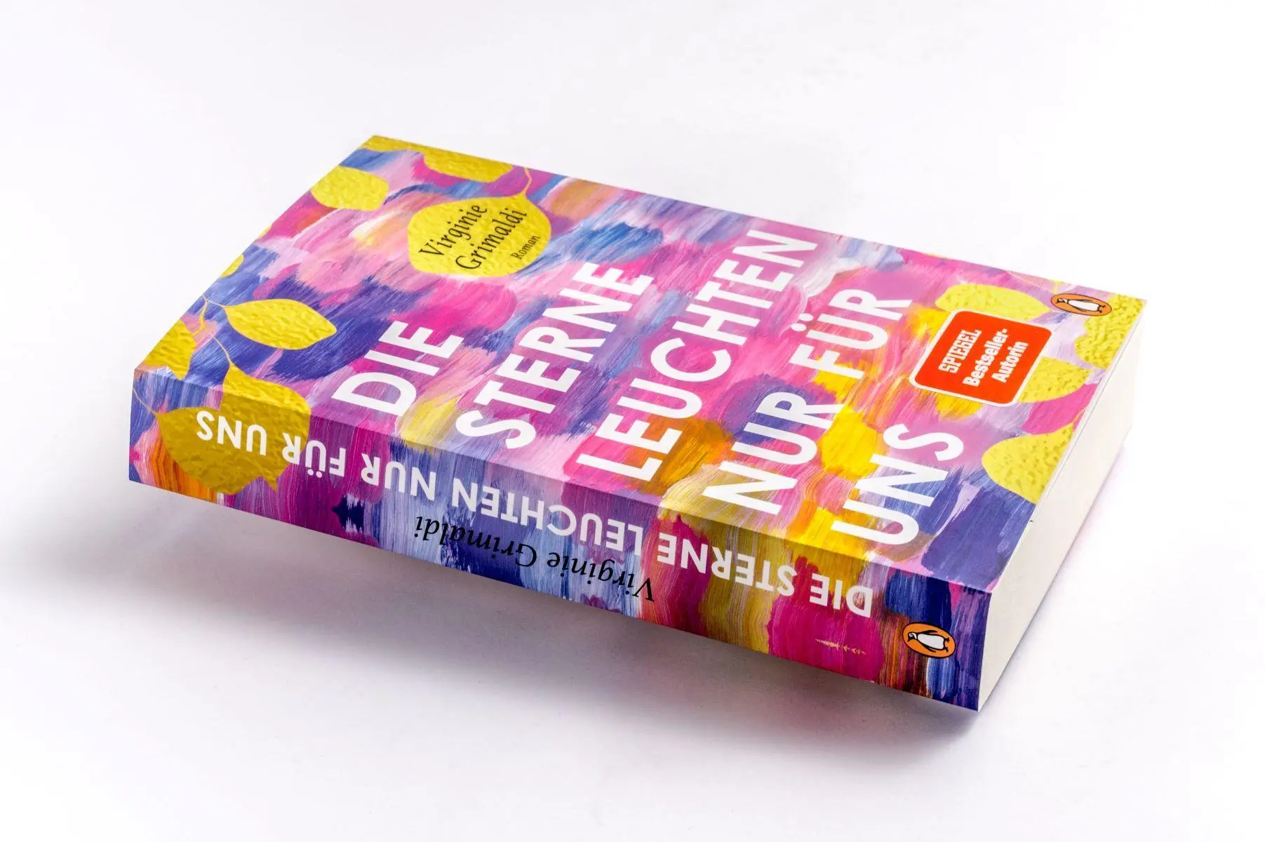 Bild: 9783328113010 | Die Sterne leuchten nur für uns | Roman | Virginie Grimaldi | Buch