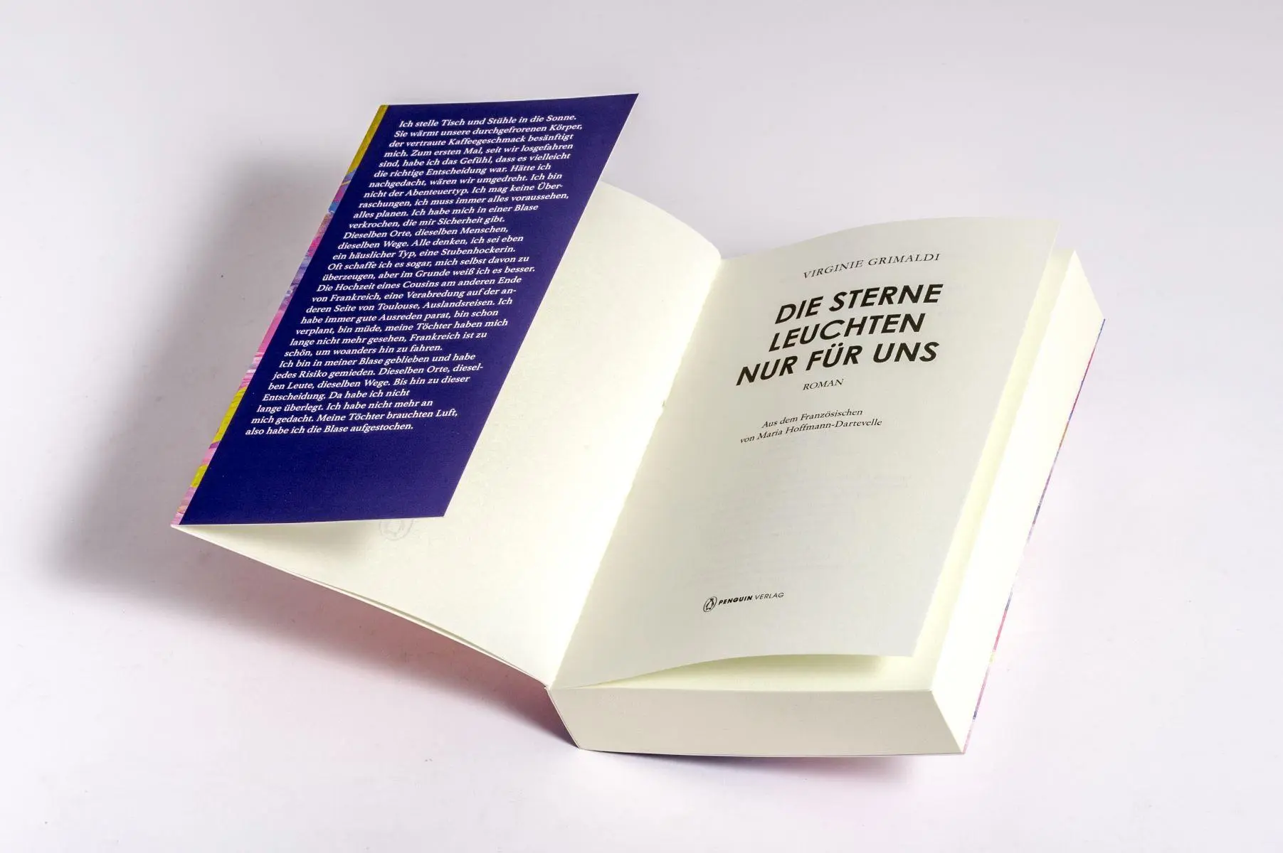 Bild: 9783328113010 | Die Sterne leuchten nur für uns | Roman | Virginie Grimaldi | Buch