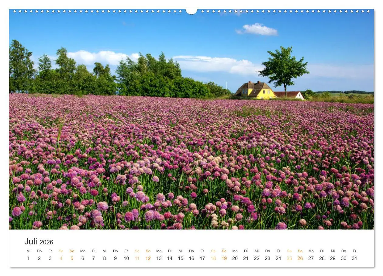 Bild: 9783516213010 | Bornholm Pur (Wandkalender 2026 DIN A2 quer), CALVENDO Monatskalender