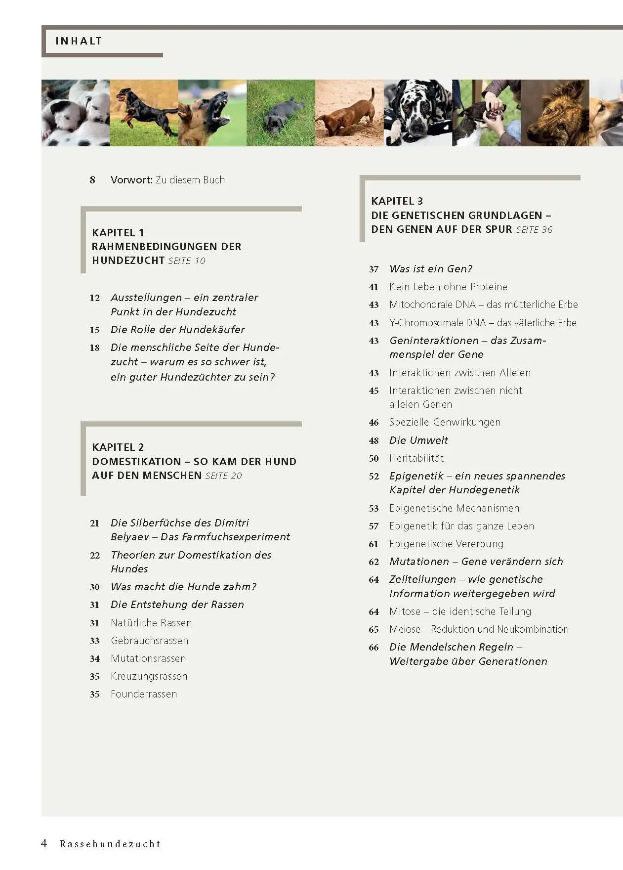 Bild: 9783275023110 | Rassehundezucht | Genetik für Züchter und Halter | Sommerfeld-Stur