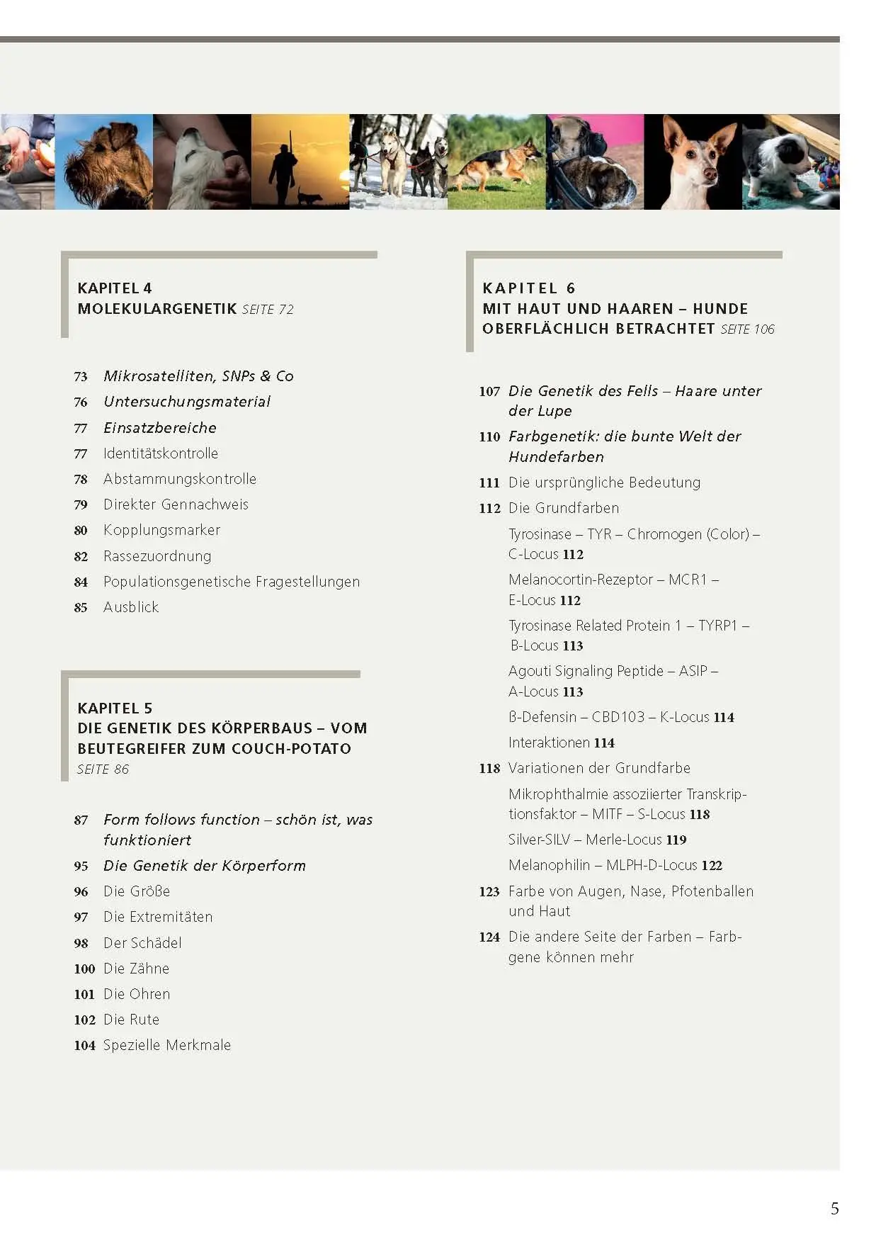 Bild: 9783275023110 | Rassehundezucht | Genetik für Züchter und Halter | Sommerfeld-Stur