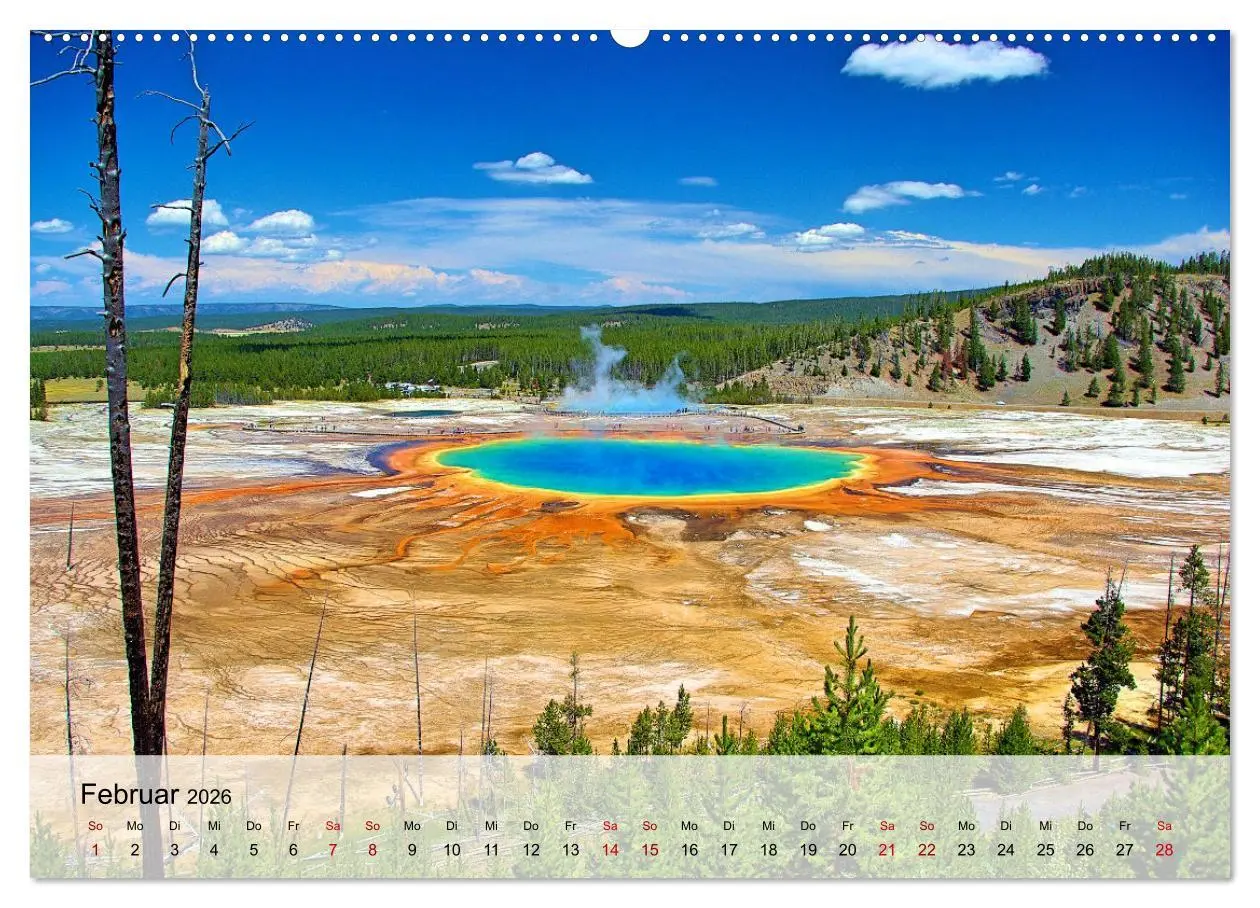 Bild: 9783457593110 | Magische Wunderwelten der Natur (Wandkalender 2026 DIN A2 quer),...