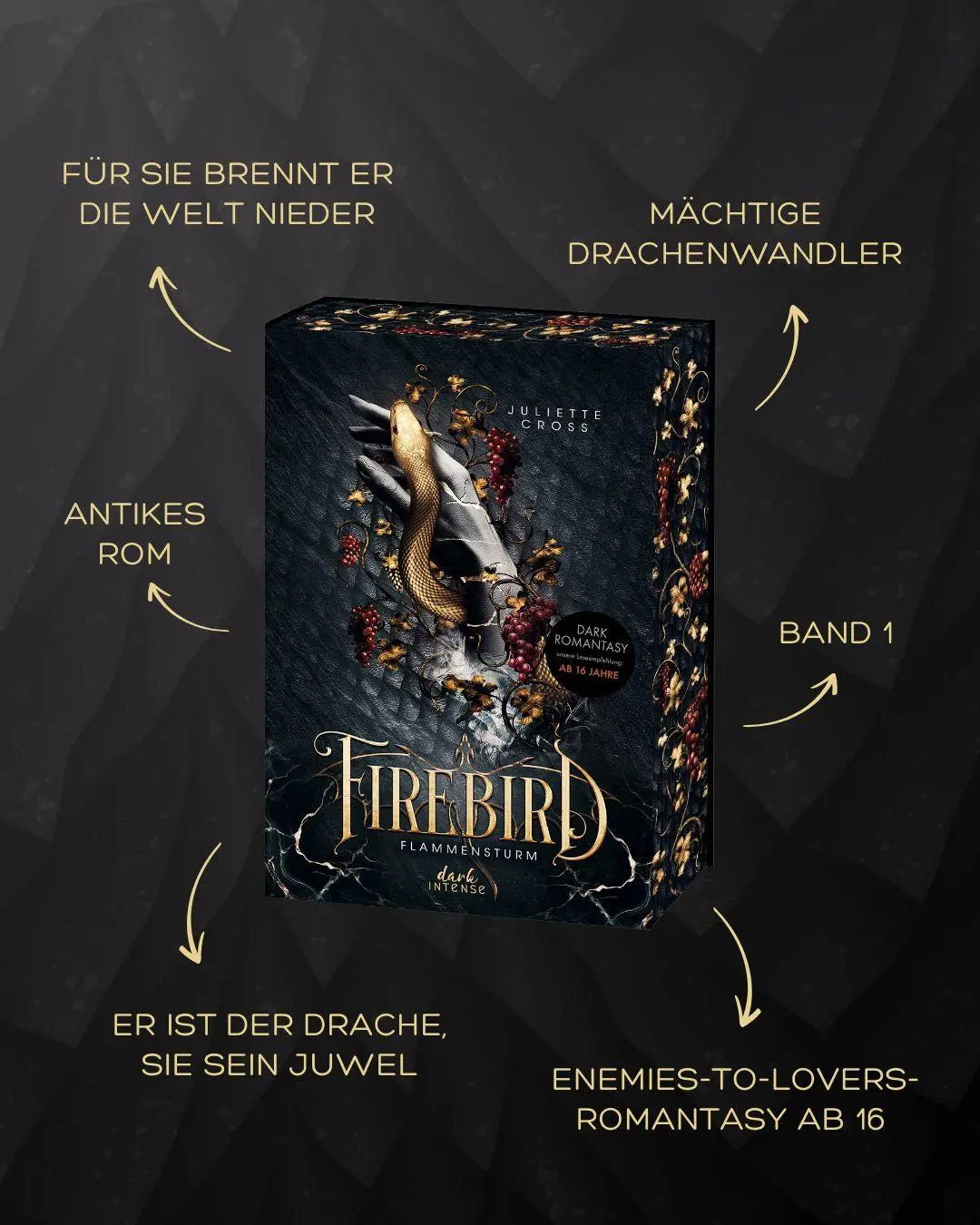 Bild: 9783743223110 | Firebird (Flammensturm, Band 1) | Juliette Cross | Buch | Flammensturm