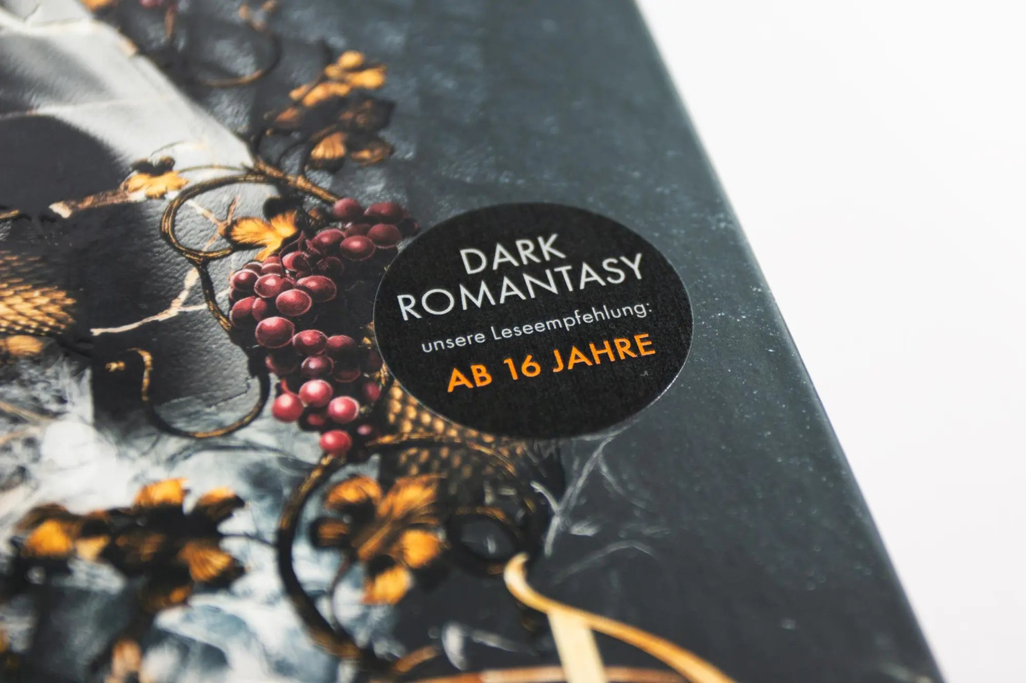 Bild: 9783743223110 | Firebird (Flammensturm, Band 1) | Juliette Cross | Buch | Flammensturm