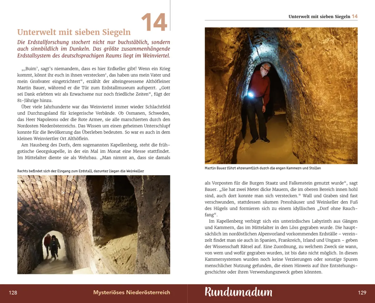 Bild: 9783991033110 | Mysteriöses Niederösterreich | Unterwegs zu rätselhaften Orten | Buch