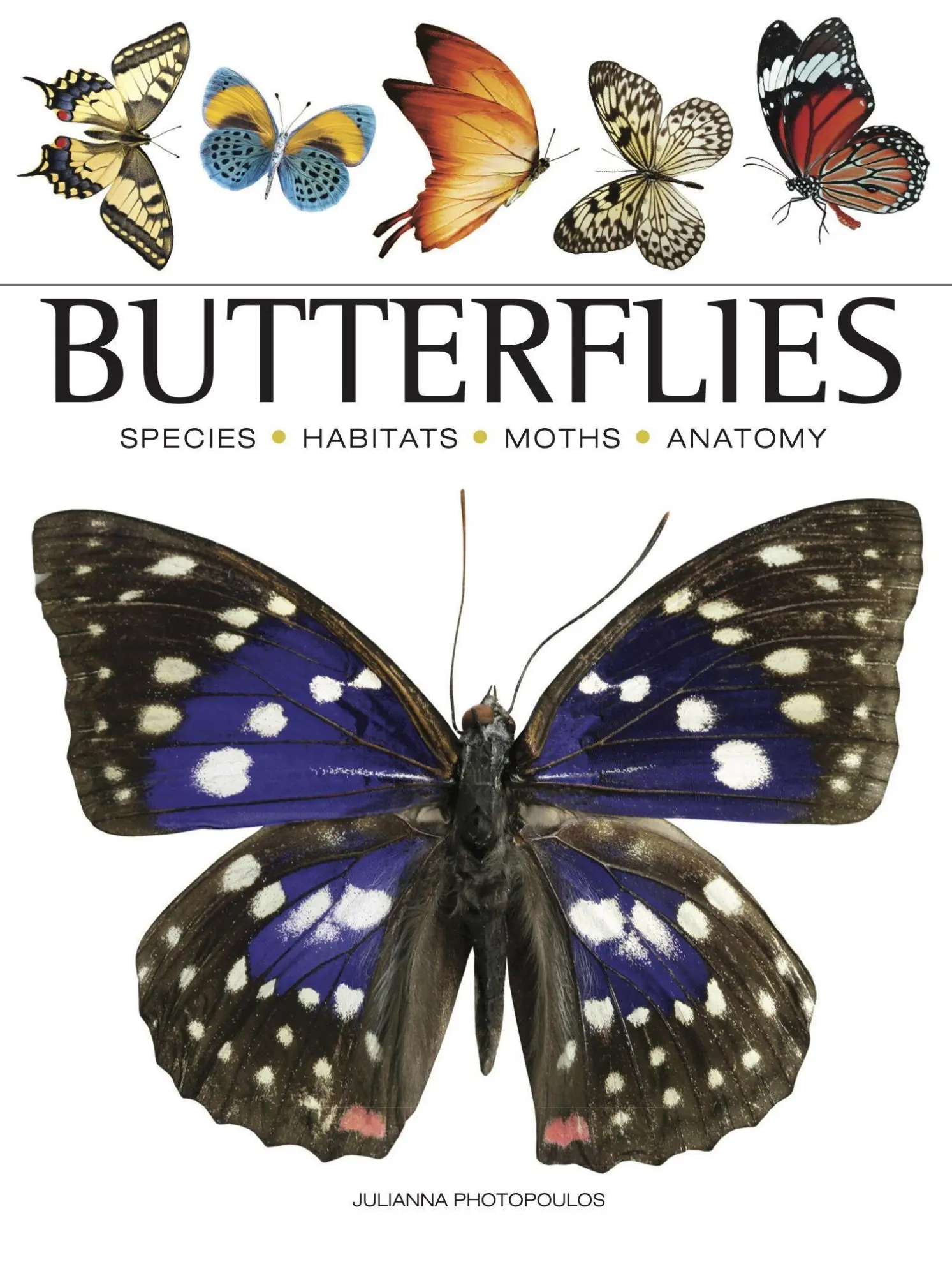 Cover: 9781838863210 | Butterflies | Julianna Photopoulos | Taschenbuch | Mini Encyclopedias