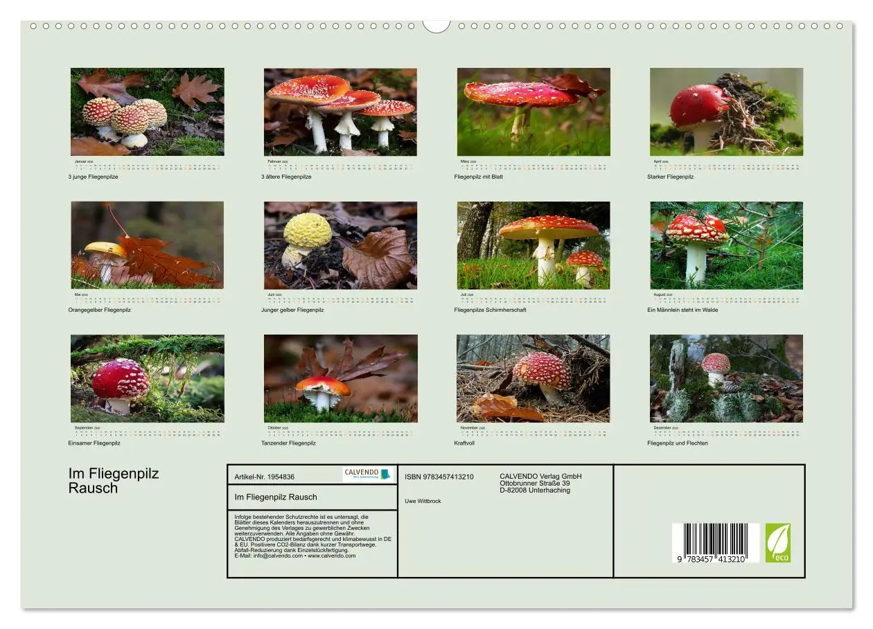 Bild: 9783457413210 | Im Fliegenpilz Rausch (hochwertiger Premium Wandkalender 2026 DIN...