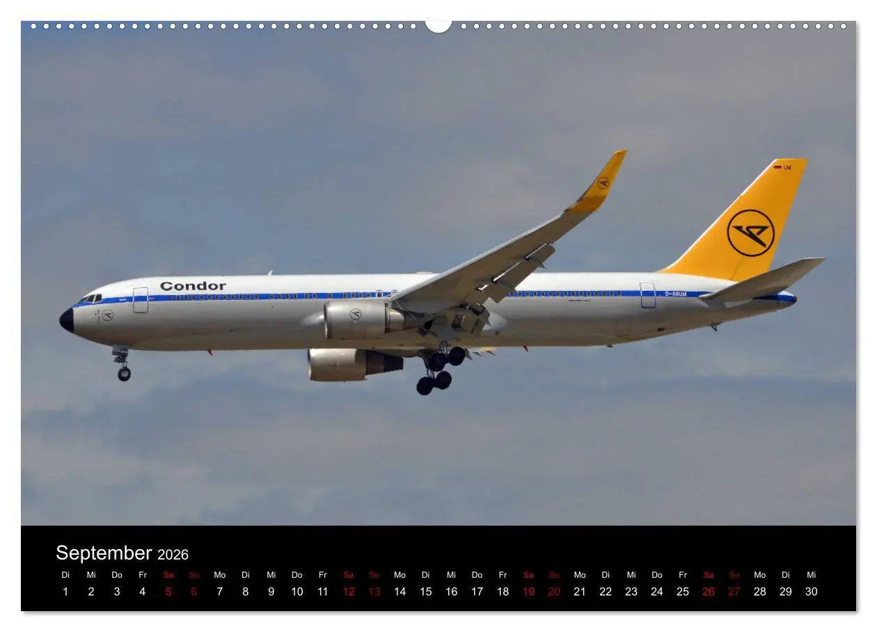 Bild: 9783457893210 | Im alten Glanz: Flugzeuge in Retro Livery (Wandkalender 2026 DIN A2...