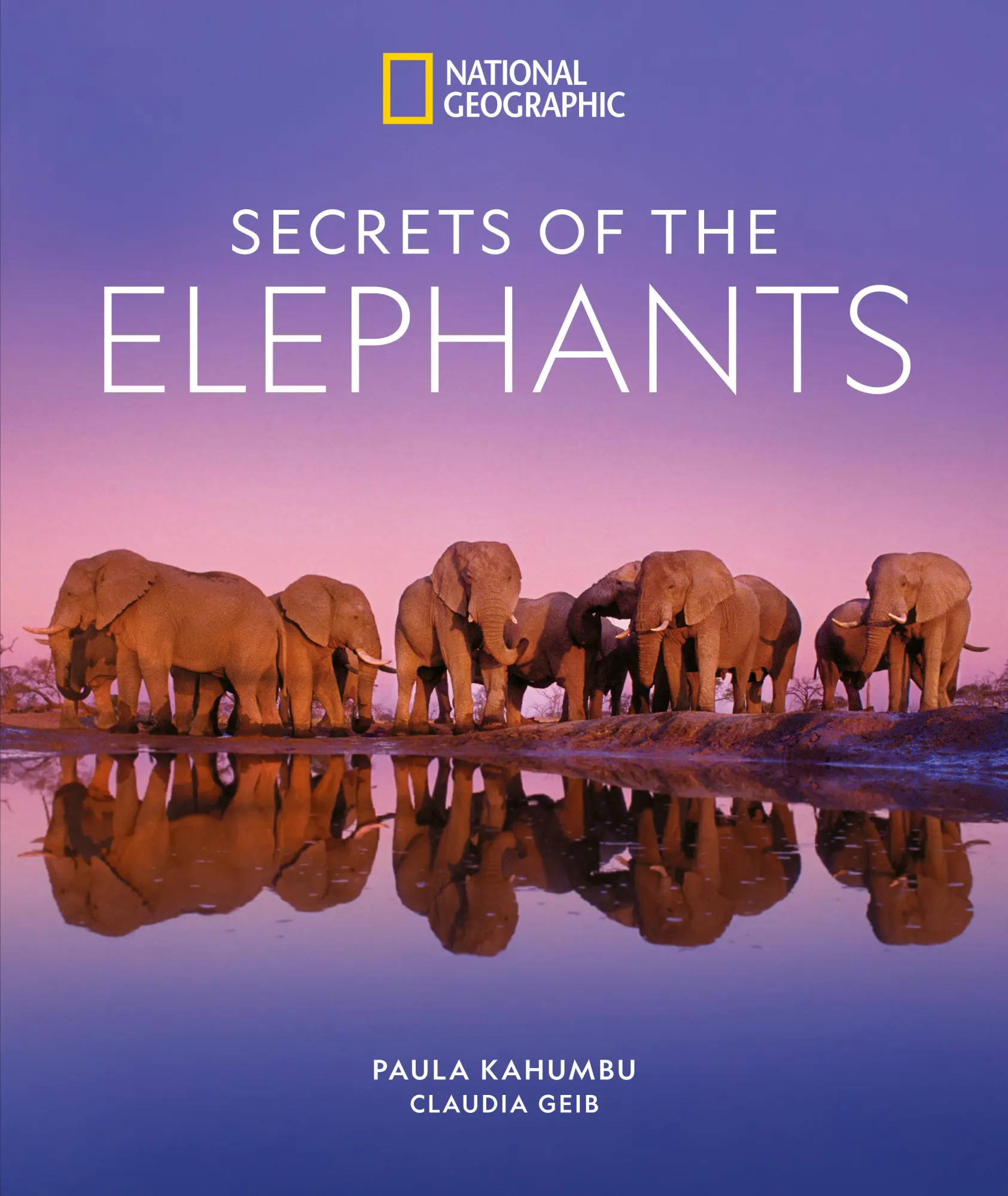 Cover: 9781426223310 | Secrets of the Elephants | Paula Kahumbu (u. a.) | Buch | Gebunden Cover: 9781426223310 | Secrets of the Elephants | Paula Kahumbu (u. a.) | Buch | Gebunden