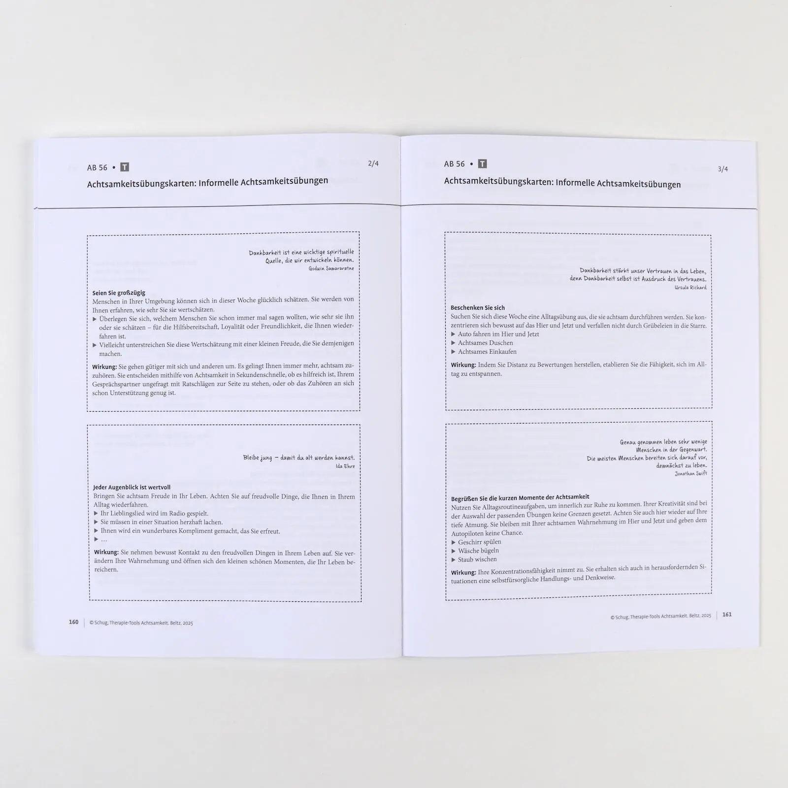 Bild: 9783621293310 | Therapie-Tools Achtsamkeit | Mit Online-Material | Susanne Schug