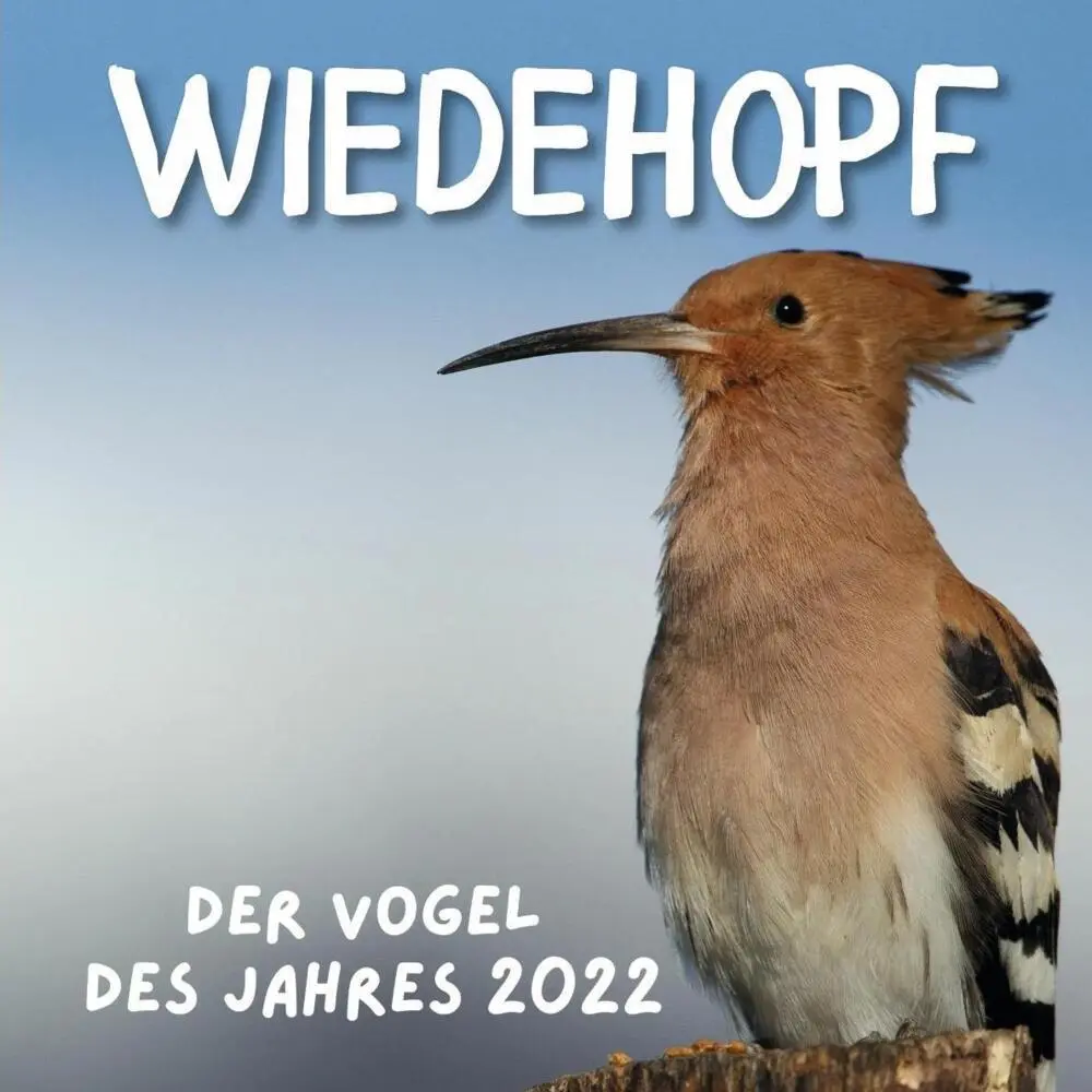 Cover: 9783750513310 | Wiedehopf | Der Vogel des Jahres 2022 | Bibi Hübsch | Taschenbuch