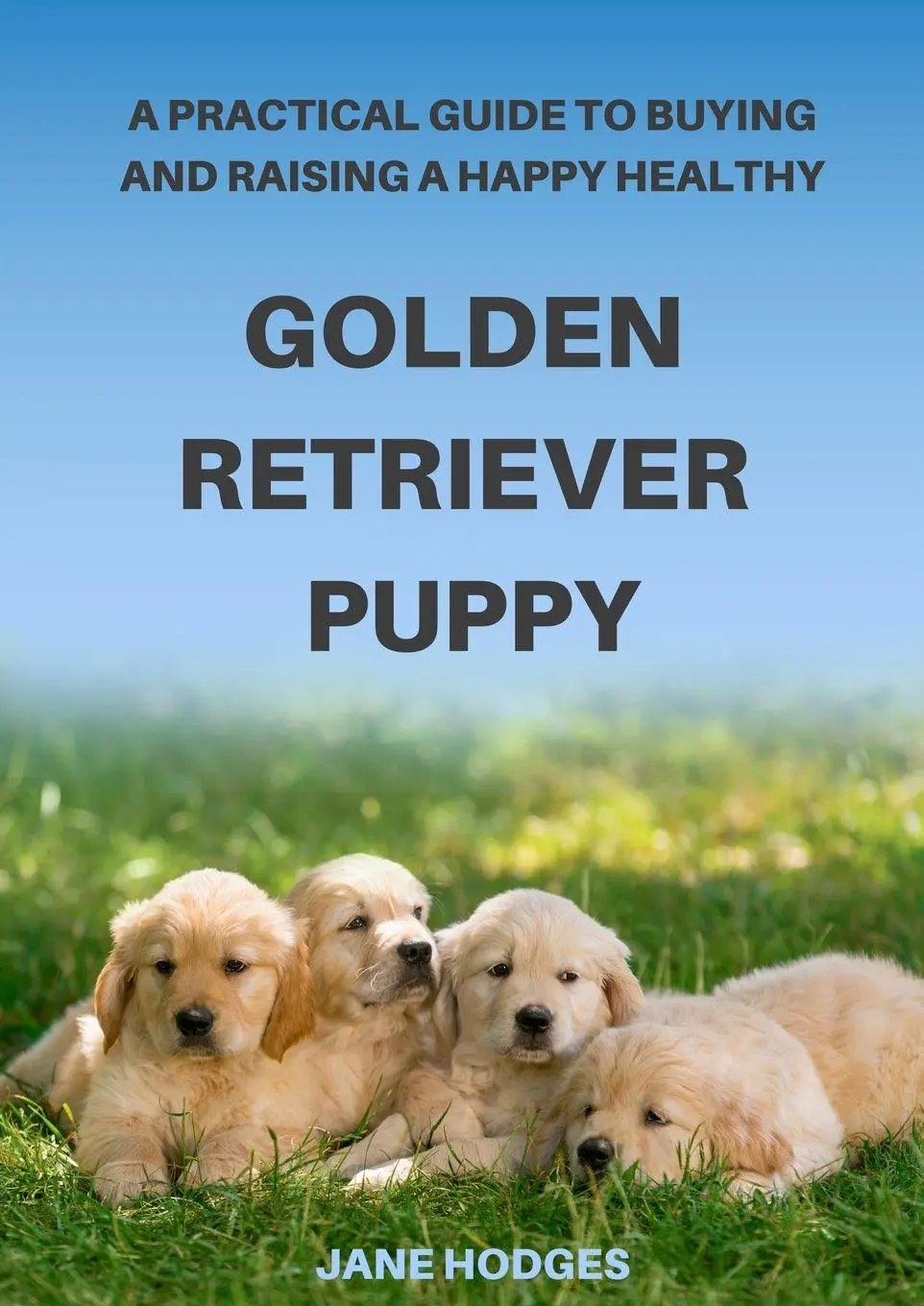 Cover: 9780645273410 | A Practical Guide to Buying and Raising A Happy Healthy Golden...