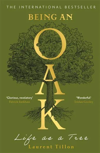 Cover: 9781804183410 | Being an Oak | Life as a tree | Laurent Tillon | Taschenbuch | 277 S.