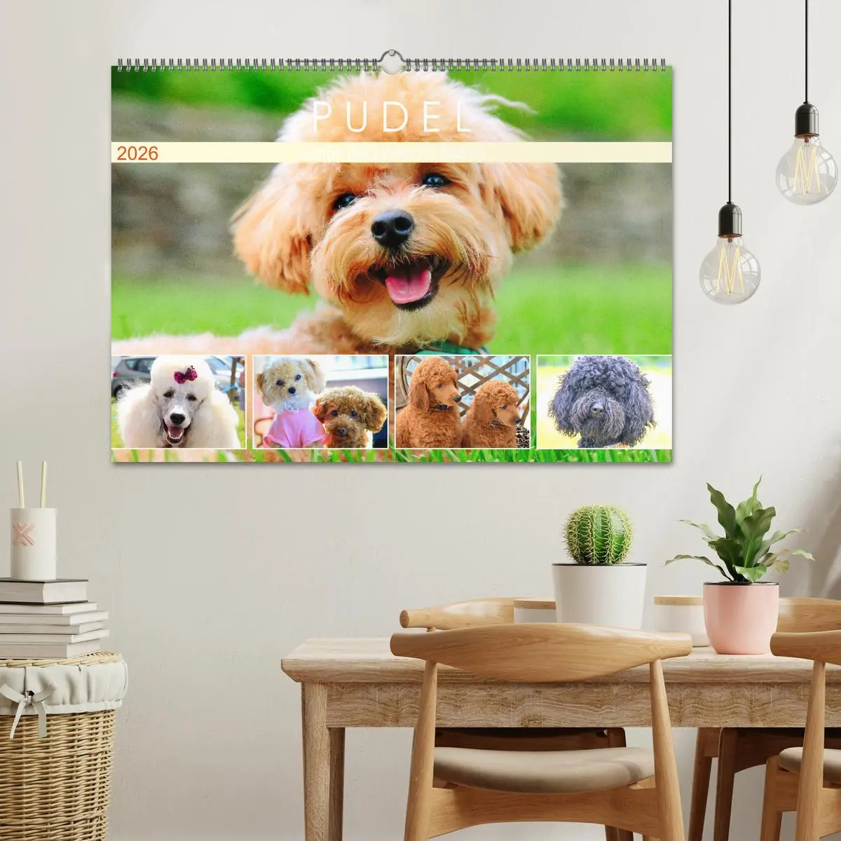 Bild: 9783457633410 | Pudel. Lustige Allrounder im Wollfell (Wandkalender 2026 DIN A2...