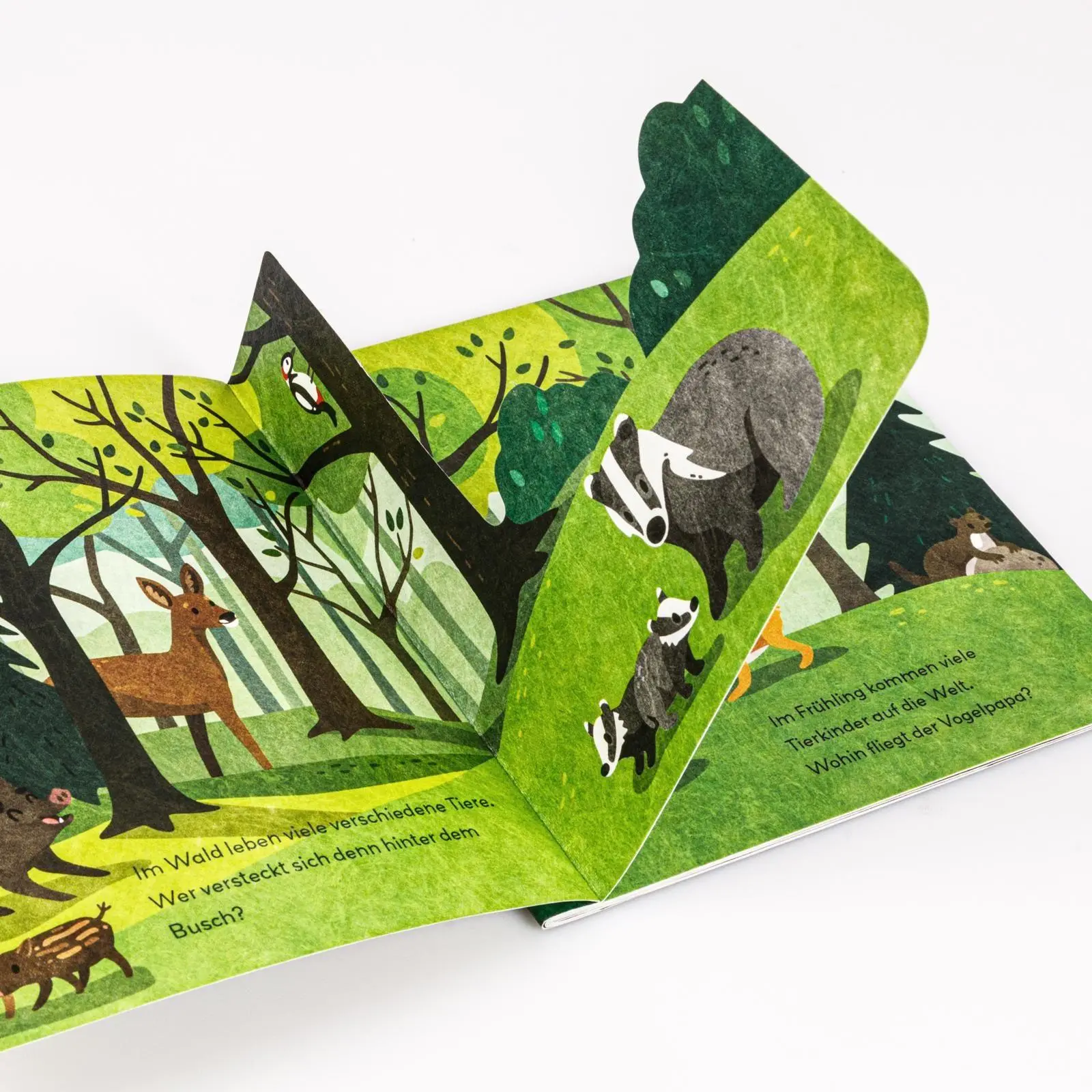 Bild: 9783551063410 | Baby Pixi (unkaputtbar) 178: Flippediflapp: Tiere im Wald | Wessel