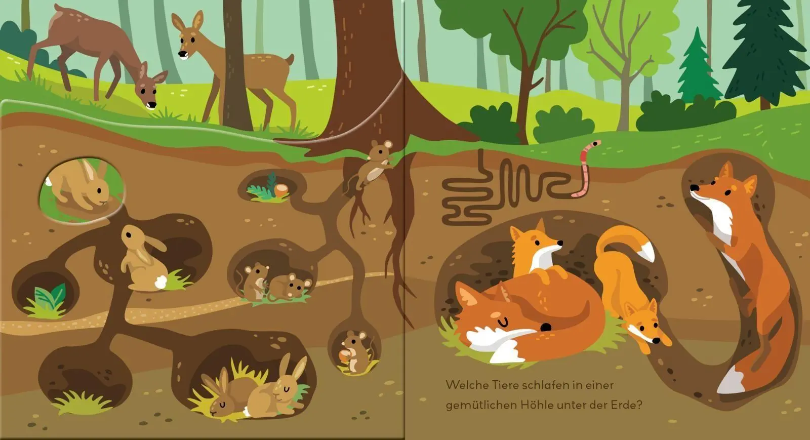 Bild: 9783551063410 | Baby Pixi (unkaputtbar) 178: Flippediflapp: Tiere im Wald | Wessel