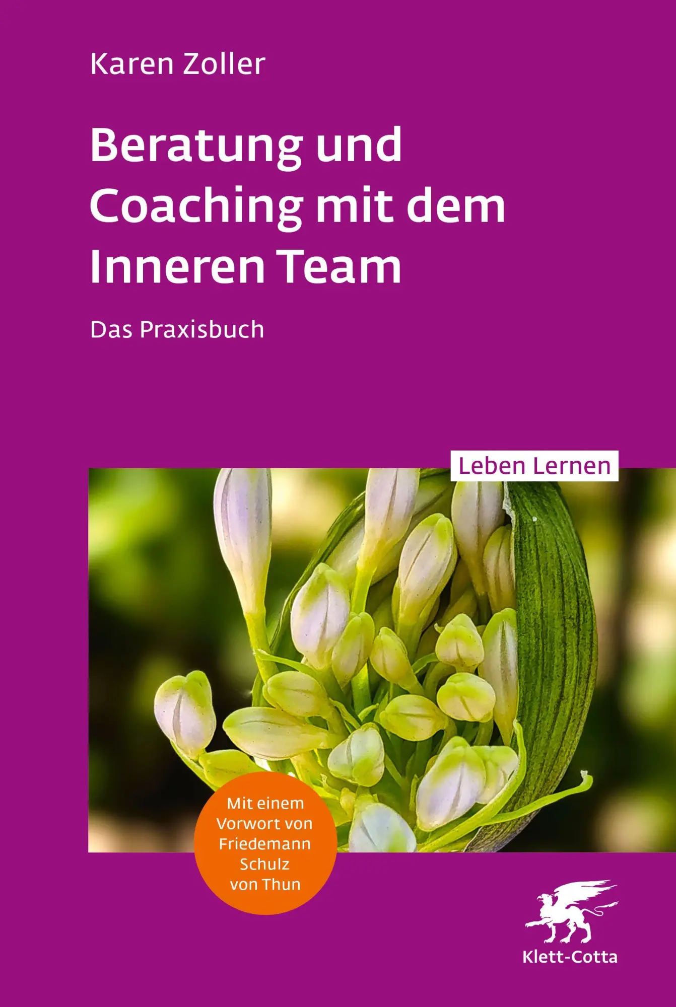 Cover: 9783608893410 | Beratung und Coaching mit dem Inneren Team (Leben Lernen, Bd. 365)