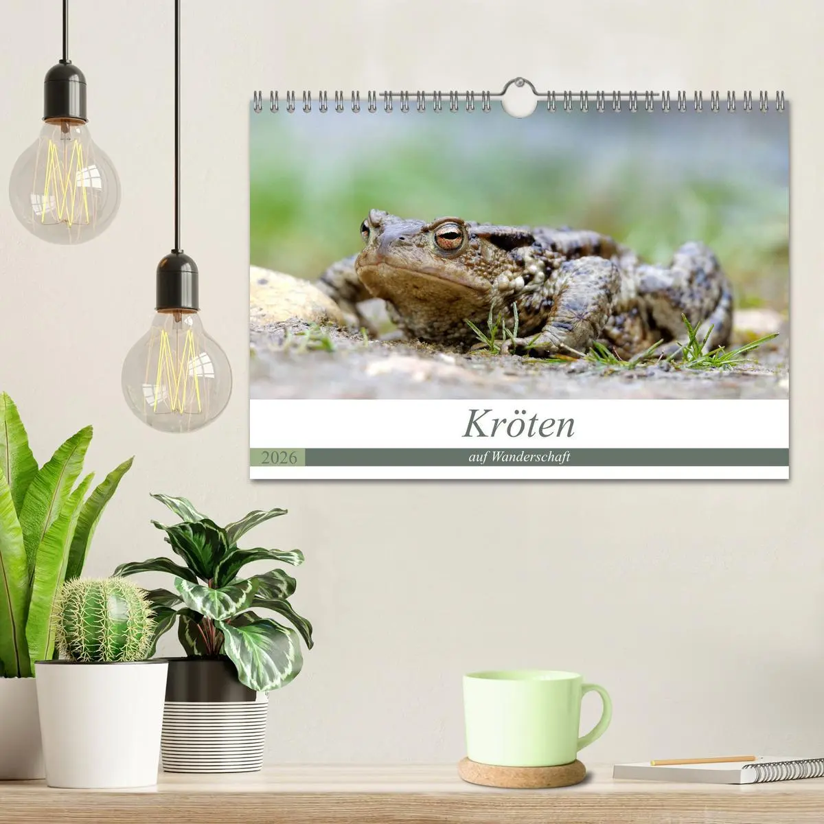 Bild: 9783457863510 | Kröten auf Wanderschaft (Wandkalender 2026 DIN A4 quer), CALVENDO...