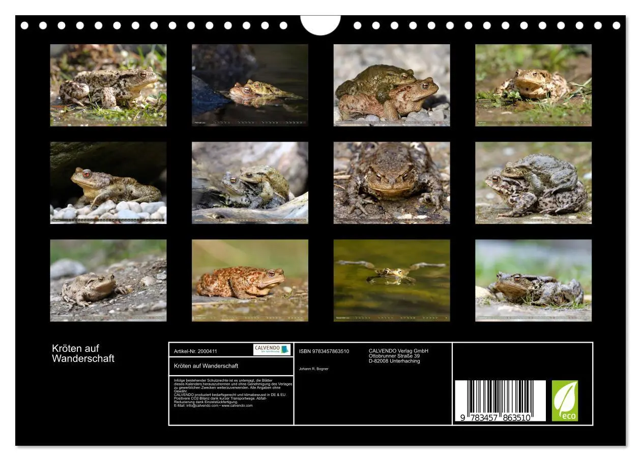 Bild: 9783457863510 | Kröten auf Wanderschaft (Wandkalender 2026 DIN A4 quer), CALVENDO...