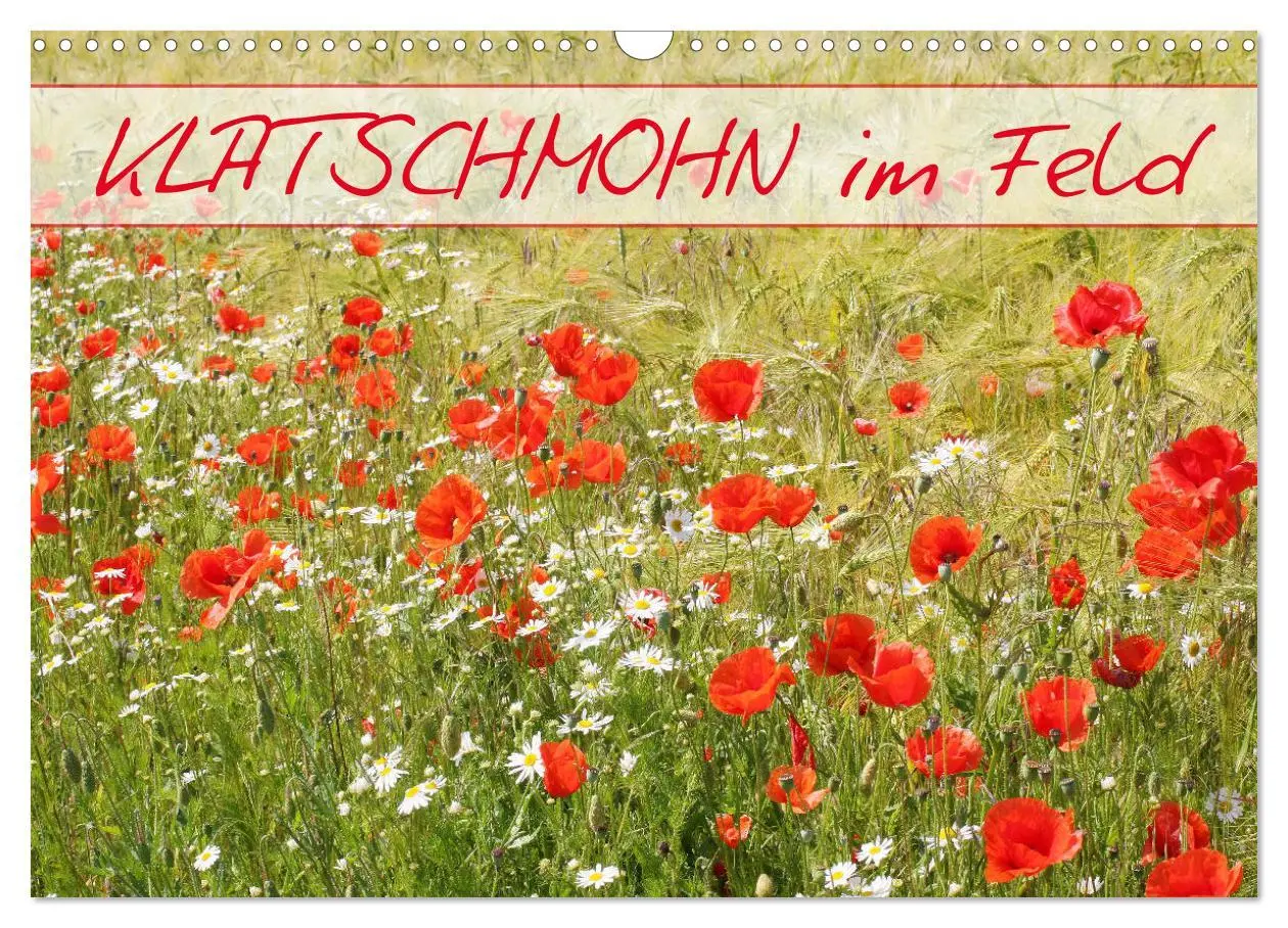 Cover: 9783457933510 | Klatschmohn im Feld (Wandkalender 2026 DIN A3 quer), CALVENDO...
