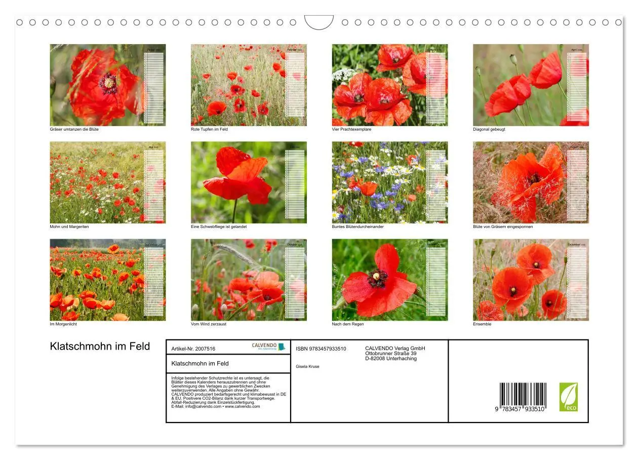 Bild: 9783457933510 | Klatschmohn im Feld (Wandkalender 2026 DIN A3 quer), CALVENDO...