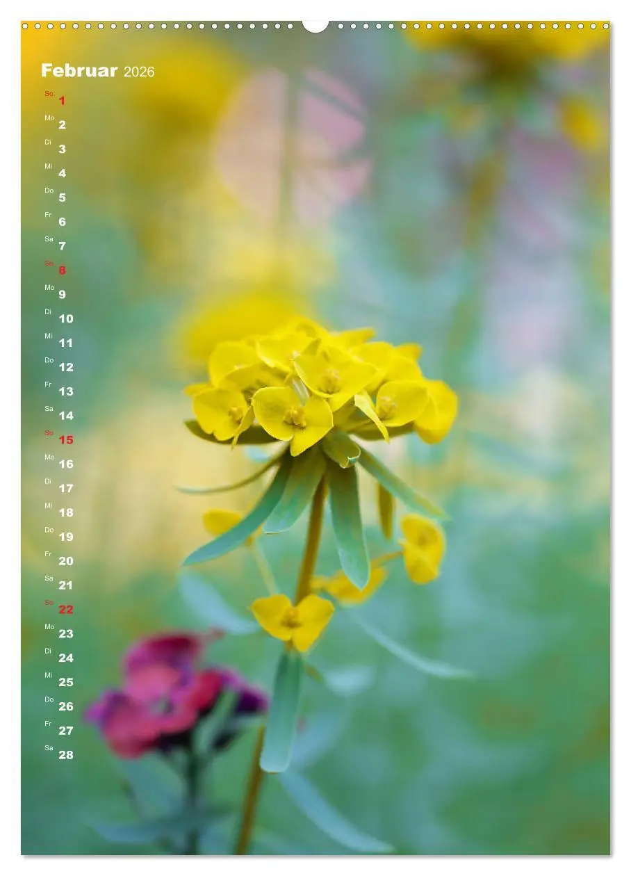 Bild: 9783516403510 | Colors of Nature (hochwertiger Premium Wandkalender 2026 DIN A2...