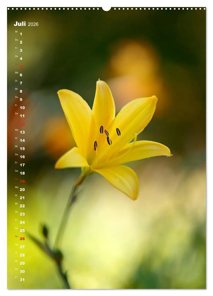 Bild: 9783516403510 | Colors of Nature (hochwertiger Premium Wandkalender 2026 DIN A2...