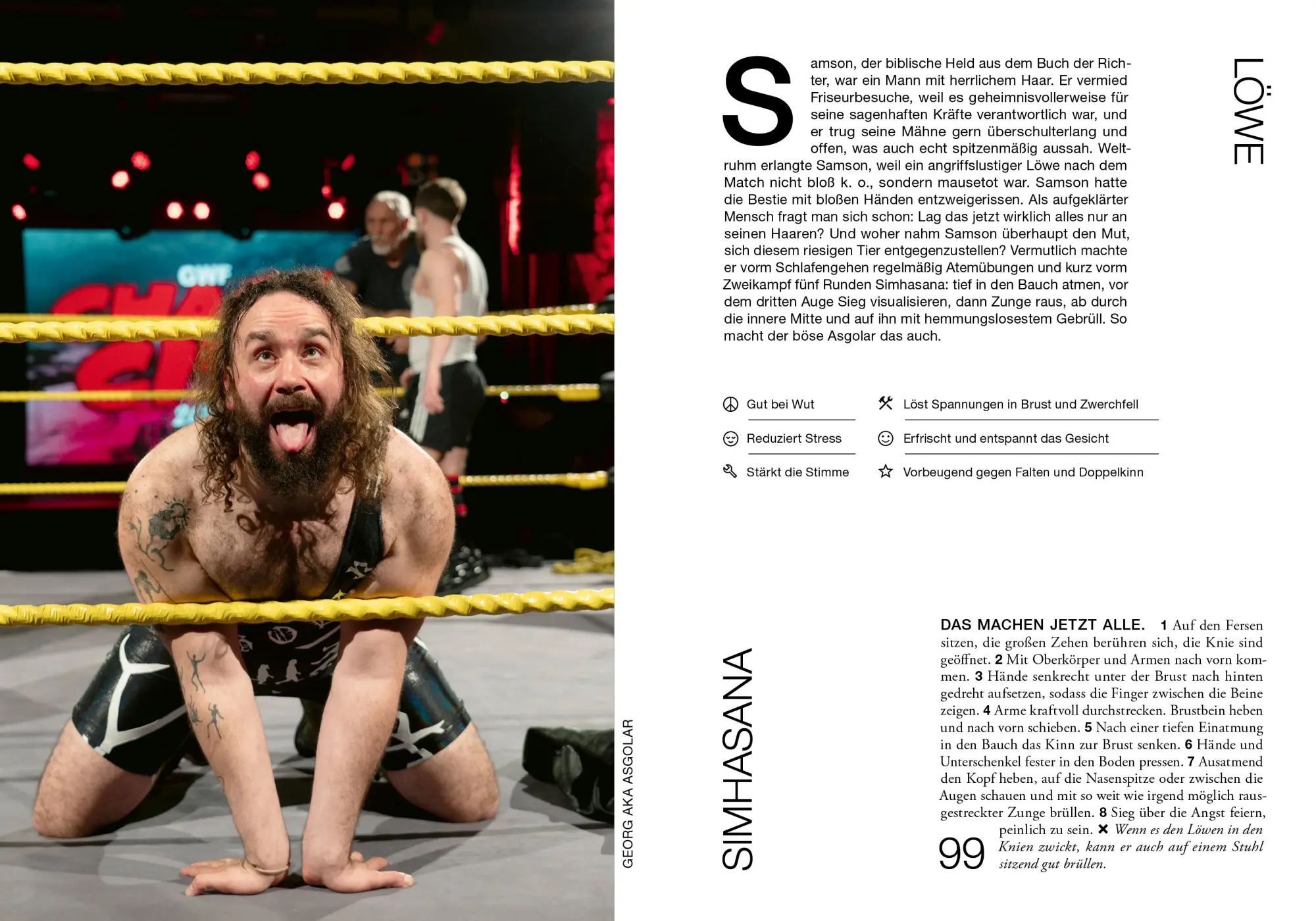 Bild: 9783954533510 | Mann macht Yoga | Judith Stoletzky | Buch | 144 S. | Deutsch | 2025