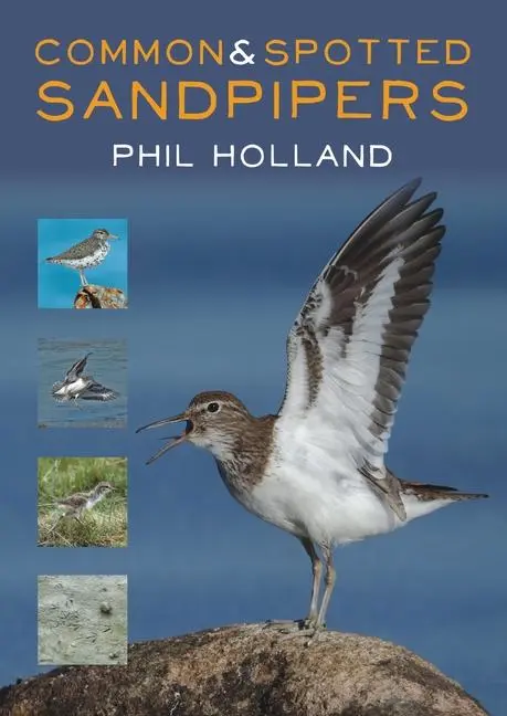 Cover: 9781849953610 | Common and Spotted Sandpipers | Phil Holland | Taschenbuch | Englisch