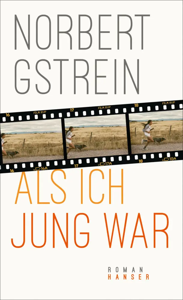 Cover: 9783446263710 | Als ich jung war | Norbert Gstrein | Buch | 352 S. | Deutsch | 2019