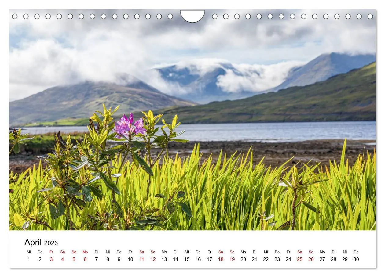 Bild: 9783457773710 | Irland, Land des Lichts (Wandkalender 2026 DIN A4 quer), CALVENDO...