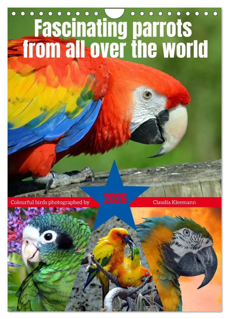 Cover: 9783516553710 | Fascinating parrots from all over the world (Wall Calendar 2026 DIN...