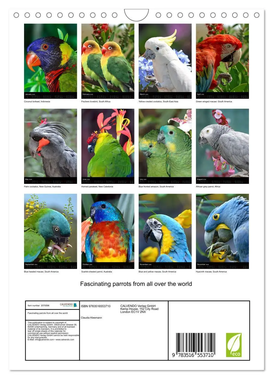 Bild: 9783516553710 | Fascinating parrots from all over the world (Wall Calendar 2026 DIN...